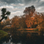 Herfst 2025 in Nederland, kleurrijke bomen
