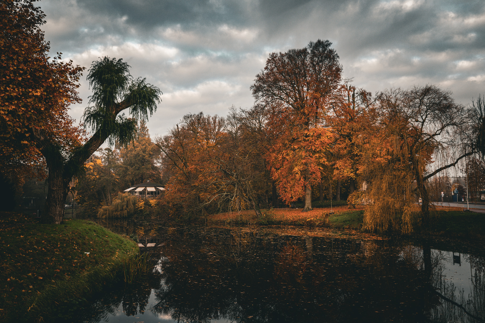 Herfst 2025 in Nederland, kleurrijke bomen